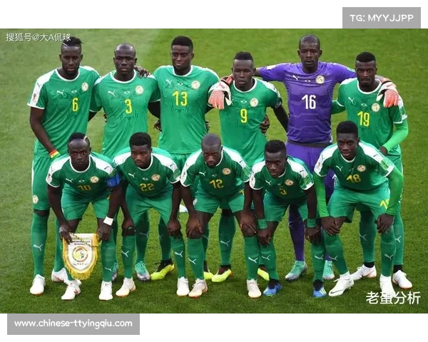 世预赛非洲区竞争白热化加蓬喀麦隆尼日利亚提前晋级仅剩一席待定